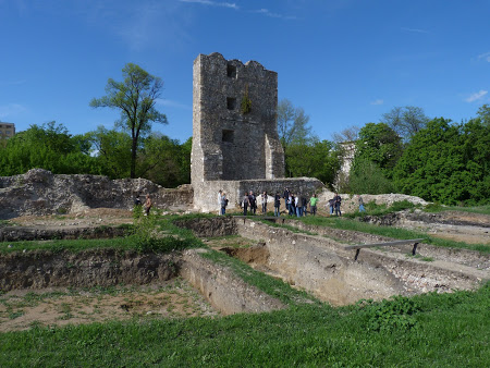5. Cetatea Severinului